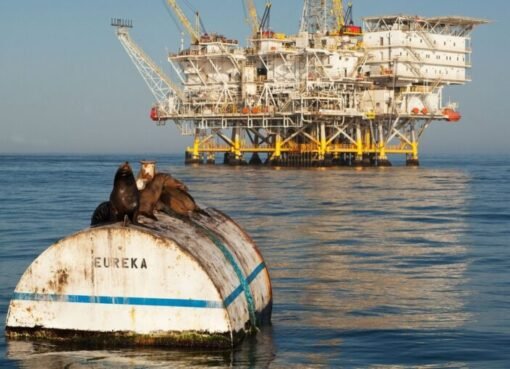 ثروة تفوق السعودية والإمارات..اكتشاف بئر نفطي ضخم في أفريقيا قد يغير خارطة الطاقة العالمية