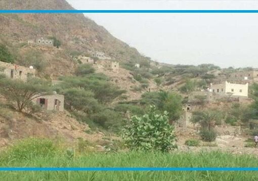 مسلح يرتكب جريمة مروعة بحق شقيقين جنوب اليمن..تفاصيل