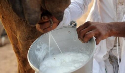 سلاح جديد في مكافحة السكري؟ دراسة سعودية حديثة تقدم الإجابة