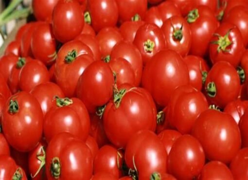 ارتفاعات ملحوظة في قيمة الفاكهة بعدن.. التفاح والبرتقال نموذجاً (قائمة بأسعار اليوم)    