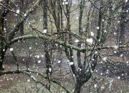 طقس قارس يطرق أبواب السعودية.. درجات حرارة صفرية ورياح شمالية شديدة من اليوم وحتى نهاية الأسبوع