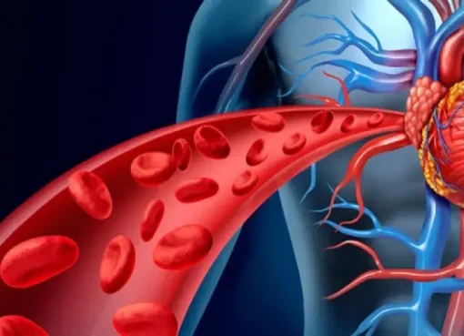مختص يكشف طرق توسعة الشرايين بعد سن الأربعين