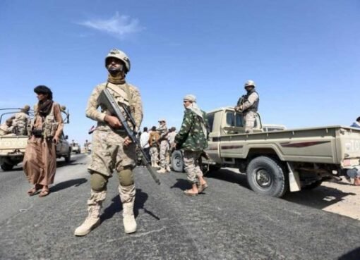 قوات الشرعية تحصل على صيد ثمين في  جنوبي اليمن قوات الشرعية تحصل على صيد ثمين في  جنوبي اليمن