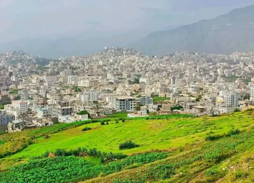 عاجل .. بشرى سارة للمواطنين