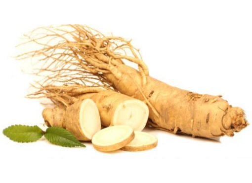 تعرف على العشبة السحرية لتعزيز الصحة الجنسية وزيادة الطاقة تعرف على العشبة السحرية لتعزيز الصحة الجنسية وزيادة الطاقة