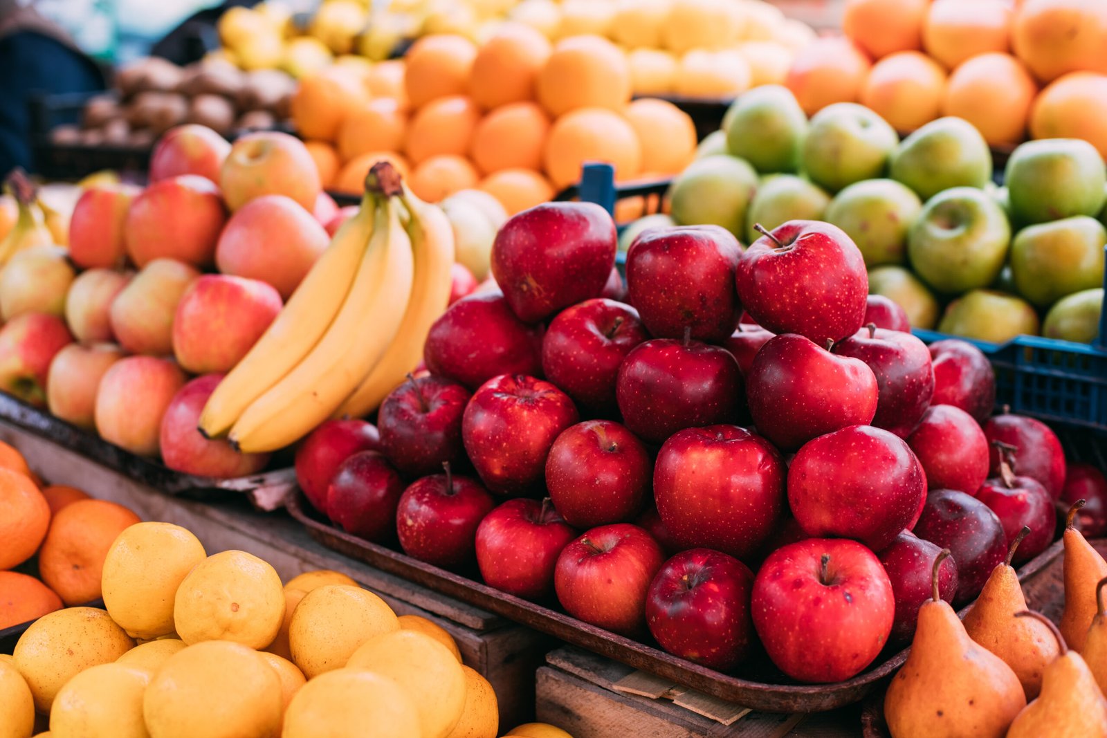 سوريا تعاود استيراد هذة الفاكهة اليمنية بعد حظر طويل.. تعرف عليها