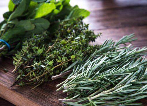 اكتشاف نبات عشبي مُهمل يحفز الذاكرة، يغذي الدماغ، يحارب الشيخوخة، يسرع نمو الشعر ويمد في العمر!