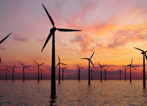 مصر تعلن شراء سلعة أساسية مهمة من السعودية مع اقتراب شهر رمضان