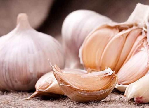 قد تصاب بأمراض خطيرة وقاتلة..إحذر تناول الثوم بهذه الطريقة مهما كان الأمر