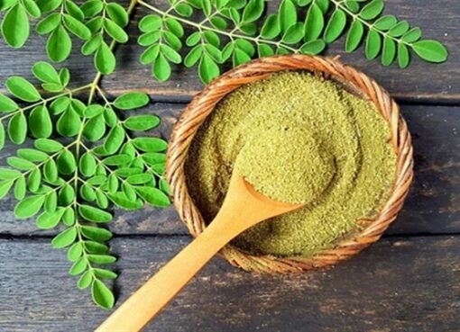 عشبة المورينجا: الحل الطبيعي للوقاية من الزهايمر وعلاج 40 مرضًا