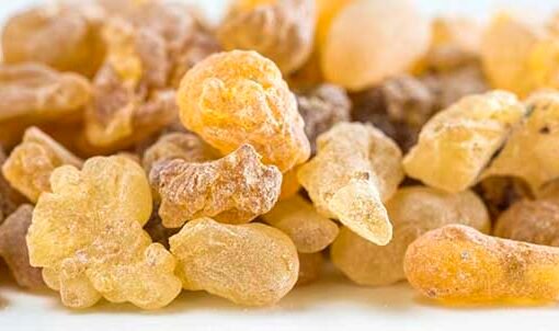 فتاة سعودية تكشف سر الجمال الطبيعي باستخدام كوب واحد من لبان الذكر