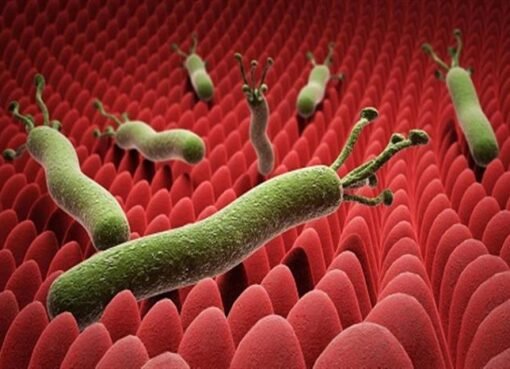 وداعاً لجرثومة المعدة! مشروب بسيط مع زيت الزيتون ينهي المرض تماما