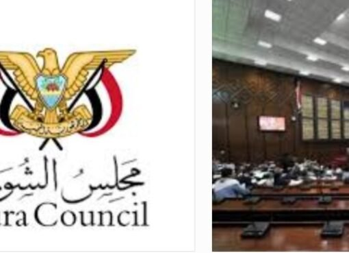 خطوة جريئة: حل مجلسي النواب والشورى وتشكيل مجلس وطني جديد.