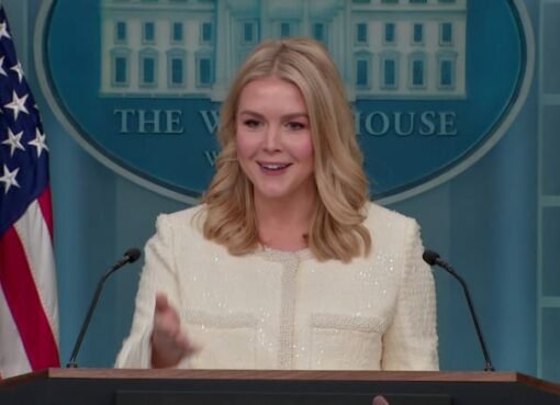 المتحدثة باسم البيت الأبيض: زيلينسكي كان عدائيا ووقحا وصفقة المعادن ليست مطروحة