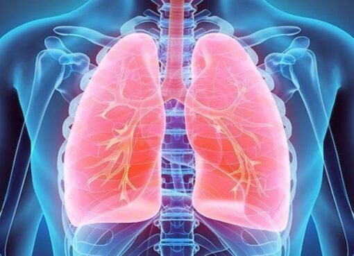 نوع خضار شهير يحمى الرئتين والقلب والمناعة