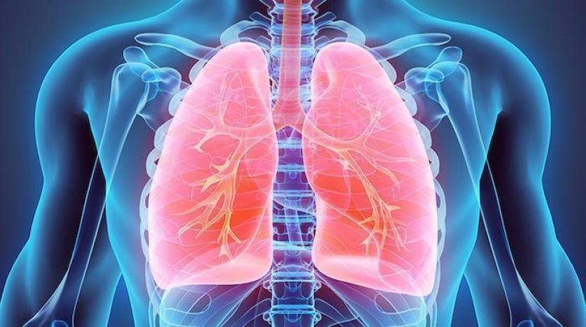 نوع خضار شهير يحمى الرئتين والقلب والمناعة