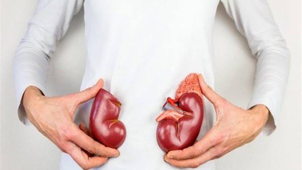 5 مشروبات طبيعية لتنظيف الكلى من الحصوات والسموم