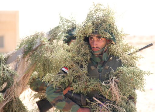 مصر واليمن: موقف حاسم يبتعد عن الإجراءات العسكرية ضد الحوثيين