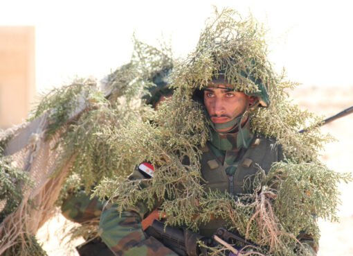 مصر تفضل هذا الحل : تقرير إسرائيلي يكشف موقفها من الحوثيين"