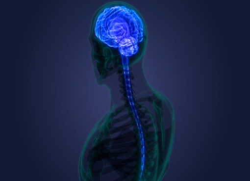 ثورة طبية صينية: تقنية حديثة تعيد الحركة لمرضى الشلل في أيام