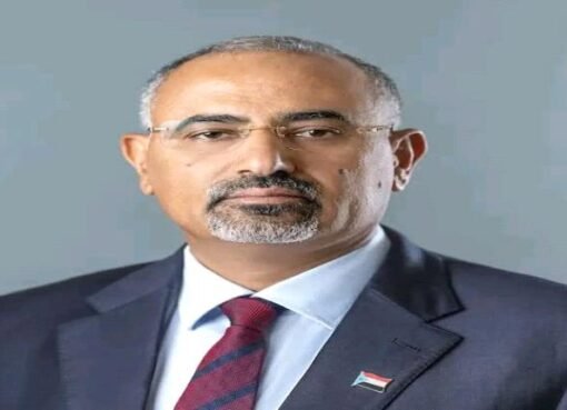 الزُبيدي يصدر قرار جديد..نص القرار