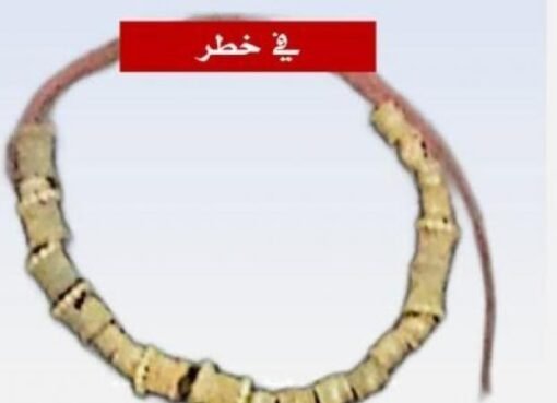 سرقة تاريخية: اختفاء 20 قطعة أثرية نادرة من متحف شرقي اليمن سرقة تاريخية: اختفاء 20 قطعة أثرية نادرة من متحف شرقي اليمن