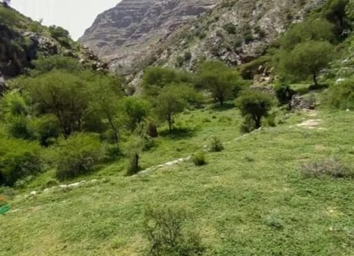 اكتشاف مفاجئ: أفقر محافظة تكتشف ثروات هائلة من اليورانيوم والذهب والغاز المسال