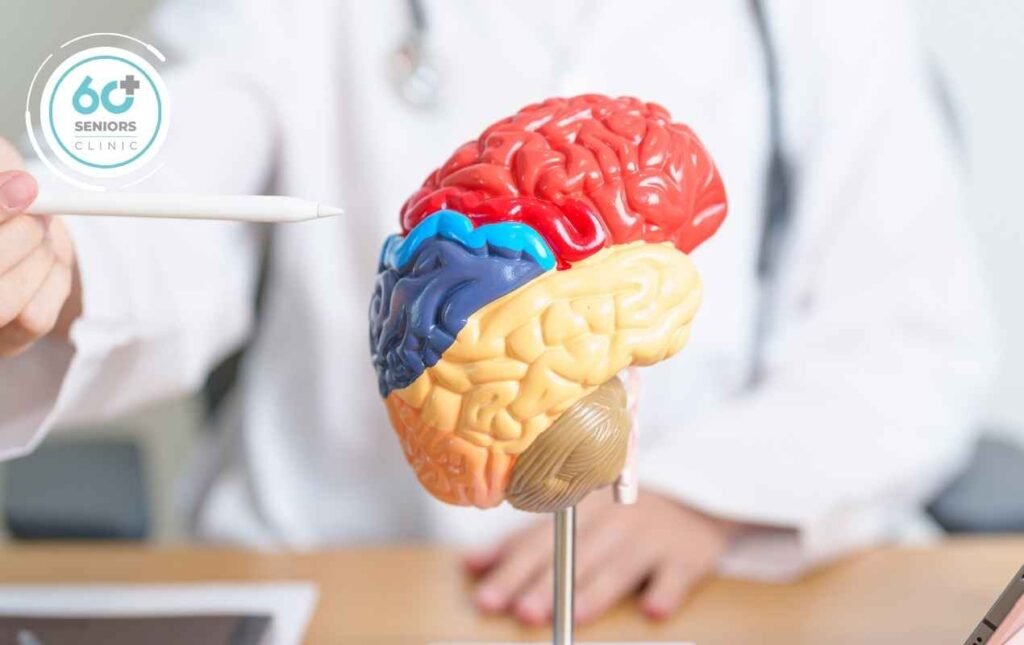 إنجاز طبي مذهل: علماء الأعصاب يفتحون باب الأمل للقضاء على ألزهايمر