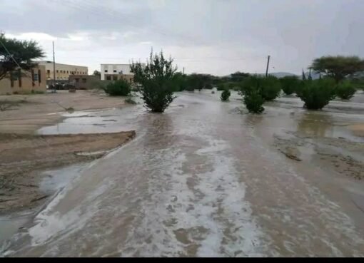 الأرصاد تحذر: أمطار غزيرة وسحب رعدية تضرب المملكة قريبًا