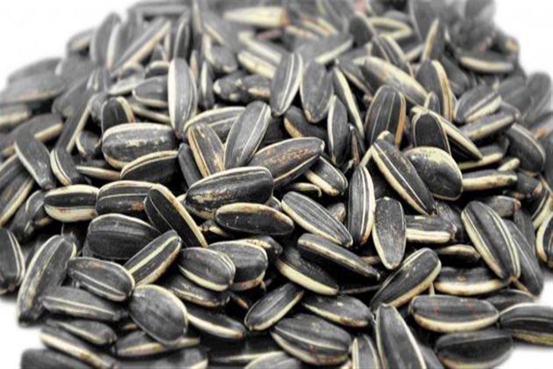 مفاجأة: هذه العادة البسيطة في العيد قد تؤثر على الكلى بشكل خطير