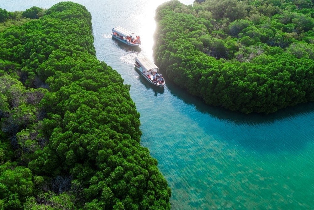 جزيرة فرسان: لؤلؤة البحر الأحمر وسحر الطبيعة في السعودية