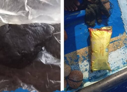 قرار بحظر الشمة والقات في محافظة يمنية.. خطوة نحو التغيير أم جدل لا ينتهي؟