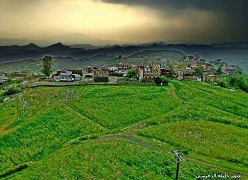 جريمة بشعة.. أشقاء يهشمون رأس بائع متجول ويعتدون على والدته