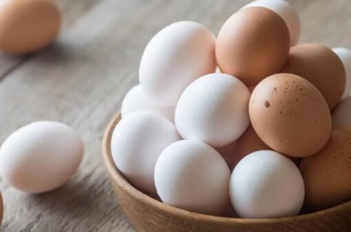 لهذا السبب .. احذر غسل البيض قبل تناوله