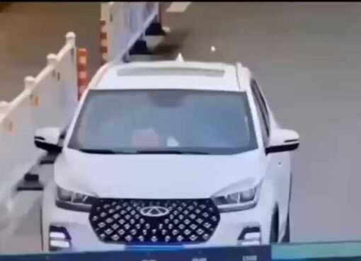 فيديو..كاميرا مراقبة توثق لحظة مذهلة: كلب يقود سيارة ويحطم الحواجز في الصين قبل أن يلوذ بالفرار بطريقة غير متوقعة