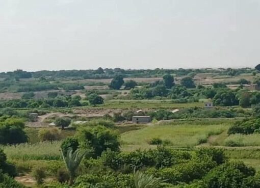 جريمة مروعة تهز محافظة لحج..تفاصيل