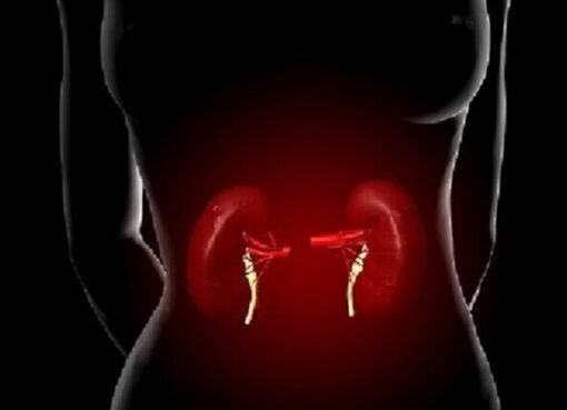 علاج الفشل الكلوي المزمن: خطوة جديدة نحو المستقبل