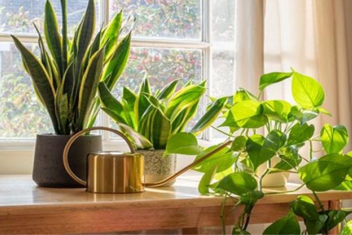 تخلص منها الآن: 8 أشياء في منزلك تجلب الفقر.. اعرفها واطردها فوراً!