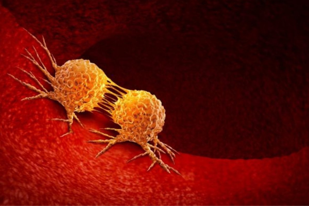 وداعًا للخلايا الخبيثة: اكتشف 6 مشروبات طبيعية قوية تُعيق نشاط السرطان في جسمك!