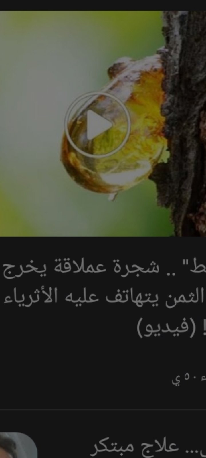 كنز مخفي داخل جذوع الأشجار.. مادة نادرة تجذب أثرياء العالم!