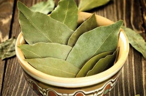 وداعًا للدهون والإحراج.. وصفة ورق الغار السحرية لحرق الدهون بسرعة