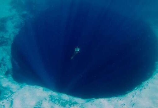 كائن غامض في المحيط الهادئ يثير الذعر بين العلماء!