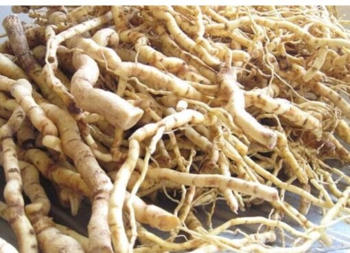 ودّع الضعف! هذه العشبة الأفريقية ستحول حياتك الزوجية إلى جنّة!