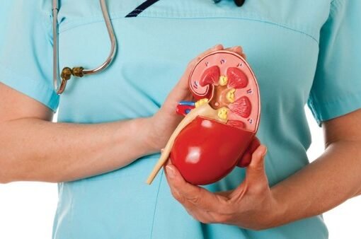 احذرها.. 3 أطعمة يجب تجنبها للحفاظ على صحة الكلى