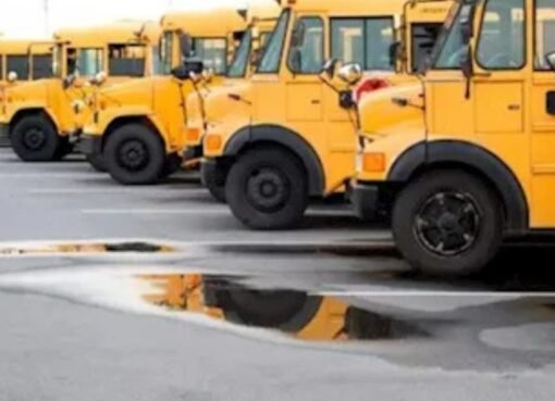 السر وراء اللون الأصفر في حافلات المدارس.. حقيقة مذهلة لم تعرفها من قبل!