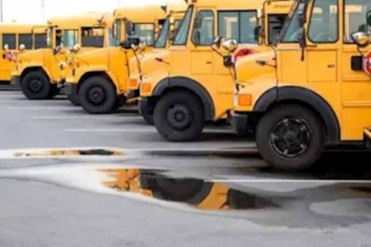 السر وراء اللون الأصفر في حافلات المدارس.. حقيقة مذهلة لم تعرفها من قبل!