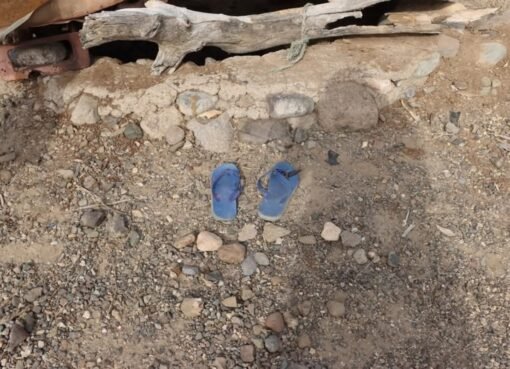 نهاية مأساوية لكفاح الأم: ربع قرن من التضحية ينتهي بقفزة إلى المجهول