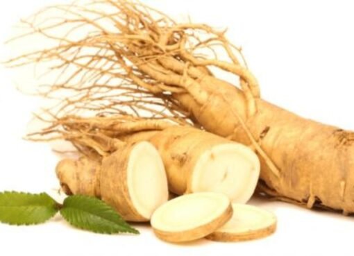 نبات طبي يثبت فعاليته في تعزيز صحة القلب وتنظيف الجسم من السموم