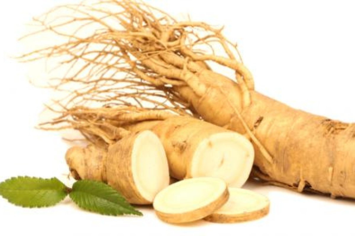 نبات طبي يثبت فعاليته في تعزيز صحة القلب وتنظيف الجسم من السموم