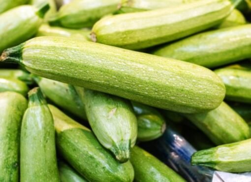 الكوسا المرّة: علامة خطر يجب ألا تتجاهلها.. متى تصبح سامة وتُهدد صحتك؟